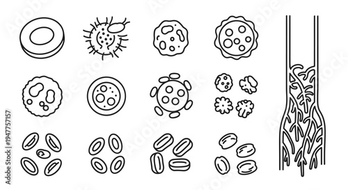 Visual guide to common blood vessel pathologies illustrating blood clots, plaque buildup, and pathogen attacks affecting the human circulatory system