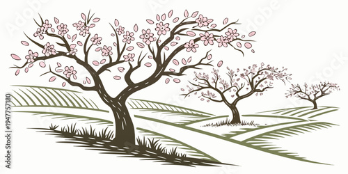 A tree with pink blossoms in an orchard Vector