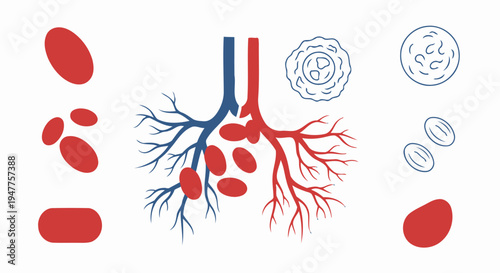 Conceptual medical diagram illustrating the components of blood, such as red and white cells, interacting with the pulmonary system's intricate network and vascular structures