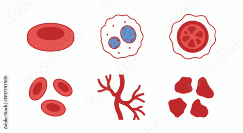 Comprehensive Vector Collection Depicting Healthy and Infected Red Blood Cells, Plus Capillary Vessels for Educational and Scientific Designs