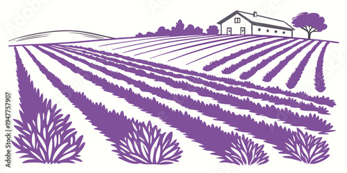 A purple illustration of a vineyard with rows of grapevines Vector