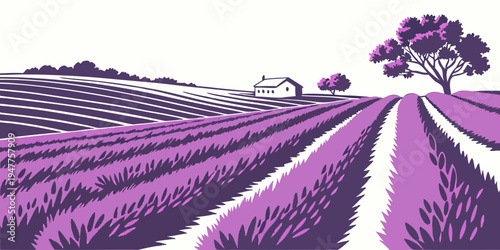 A purple field of lavender with trees in the distance Vector