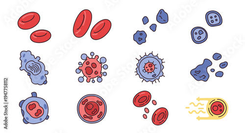 Diverse Collection of Human Blood Cells and Microscopic Organisms Illustrating Biological Processes and Health Concepts in a Stylized Vector Set