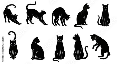 Collection of black cat silhouettes in various poses, showcasing their elegant and mysterious nature.