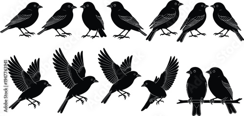 Black bird silhouettes set with sparrow and finch icons in various poses including flying perching and sitting on branches for nature graphic design projects (24 words)