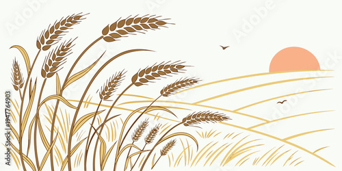 A bunch of wheat with a sun in the background Vector