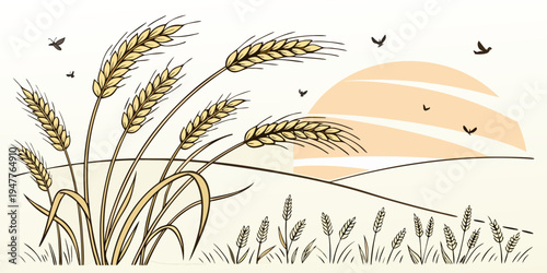 A bunch of wheat with a sun in the background Vector