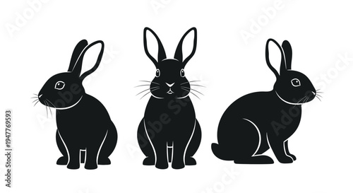 Three black rabbit silhouettes in different poses, front and side views, on a white background.