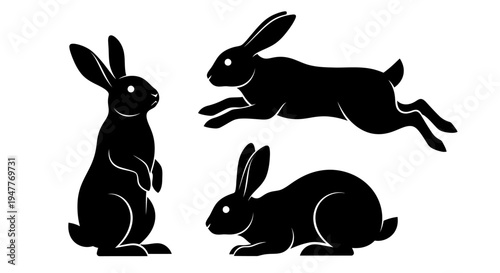 Three black rabbit silhouettes in various poses on a white background.