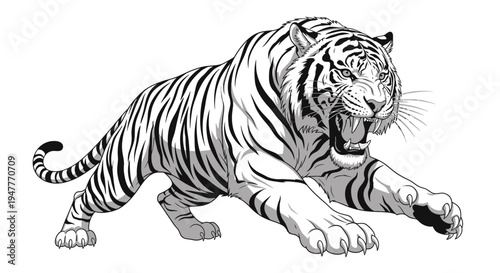 Dynamic black and white illustration of a majestic tiger roaring fiercely, capturing its powerful stance and wild aggression in a detailed vector artwork