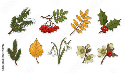 Christmas and Winter Vector Stickers with Fir Trees, Rowan Berries, Leaves, and Flowers Retro Style