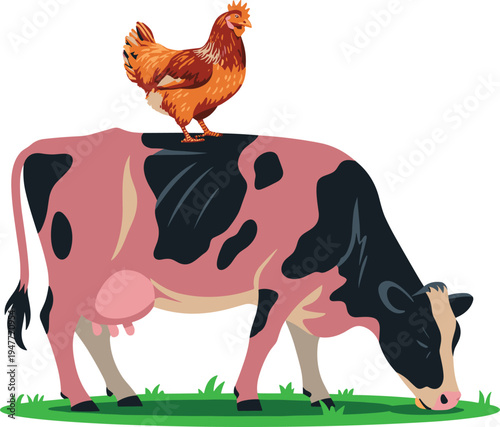 Vector Illustration of a Brown Hen Standing on a Grazing Pink and Black Spotted Dairy Cow on Green Grass for Organic Farming and Agricultural Branding