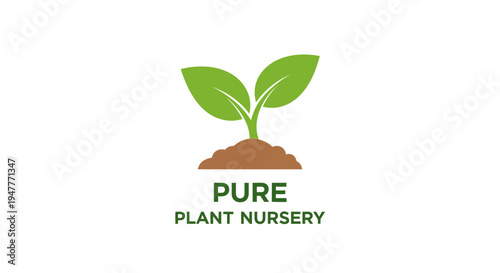 Green plant sprout with two leaves 1.