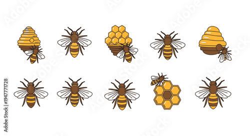 Collection of bees and honeycombs insects.