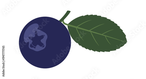 Dark blueberry with green leaf attached.