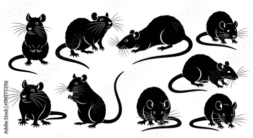 Collection of black rat silhouettes in various poses.