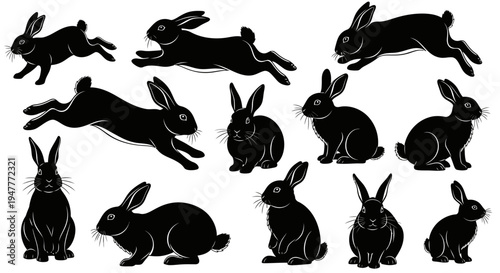 Collection of black rabbit silhouettes in various poses, showcasing their agility and form.