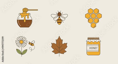 Honey bee and honey icons set.