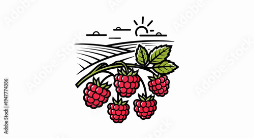 Sunny landscape with ripening raspberries on a branch and rolling hills