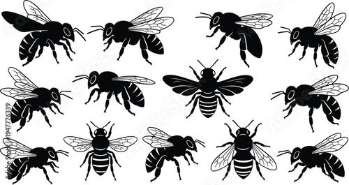 Honey bee insect silhouette set with flying pollinator bees, detailed wings, nature wildlife entomology vector illustration collection