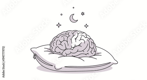 A healthy brain resting on a pillow, symbolizing a good night's sleep for cognitive function and mental well-being under a starry sky