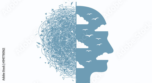 The Duality of the Mind Representing Chaos and Clarity in Human Thought and Emotion