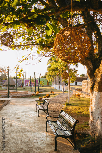 atardecer en el centro de maní, pueblo mágico con adornos en los arboles