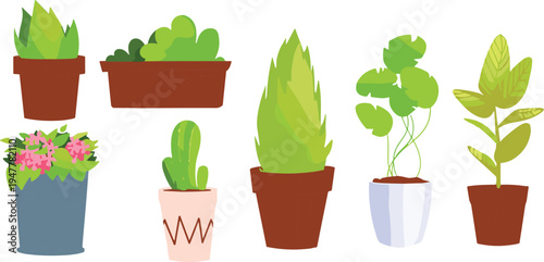 Collection of indoor houseplants in decorative pots with cactus, flowers and green foliage flat vector illustration set for home decor and gardening design