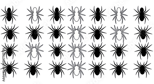 Seamless Pattern of Spiders, Black and White, Graphic Design, Halloween
