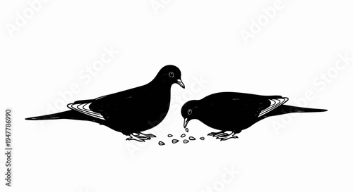 Two black pigeons peck at scattered seeds on a white background