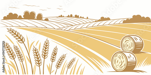 A field with hay bales and wheat Vector