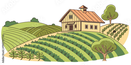 A house on a hill surrounded by vineyards Vector