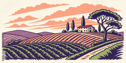 A serene vineyard landscape at sunset Vector