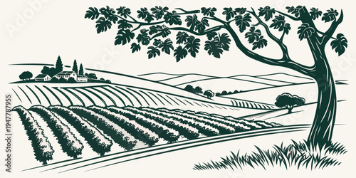 Vineyard with rows of grapevines and a tree Vector