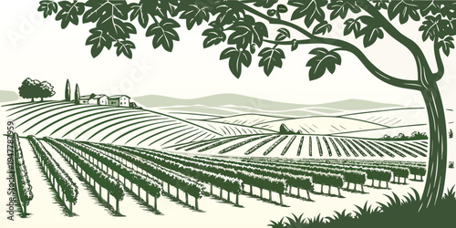 A green illustration of a vineyard with a tree Vector
