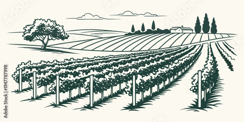 A green vineyards with trees and birds in the background Vector