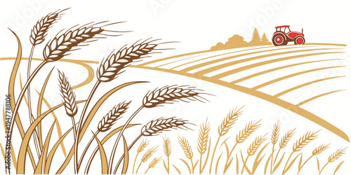 A tractor drives through a golden wheat field Vector