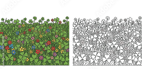 Split illustration of a spring clover field with colorful wildflowers. Features a vibrant colored version alongside a black and white line art design perfect for coloring books.
