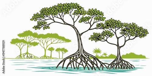A group of mangrove trees growing in shallow water Vector