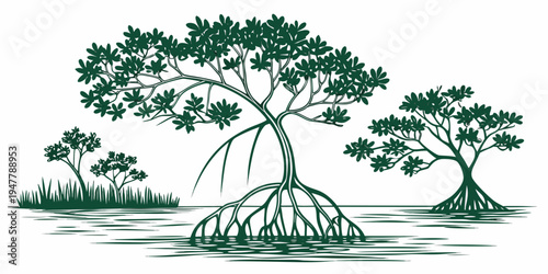 Mangrove trees with exposed roots in water Vector