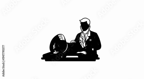 Veterinarian examines a dog wearing an Elizabethan collar