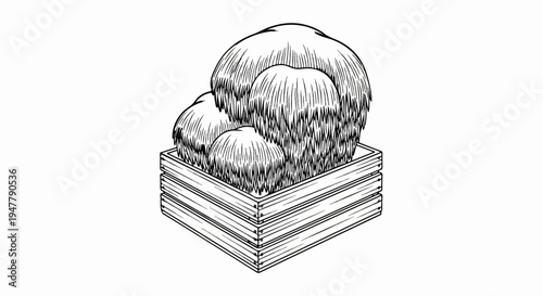 Stylized, textured organic forms rest within a simple wooden planter box