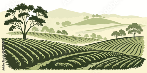 A green field with rows of crops and trees Vector