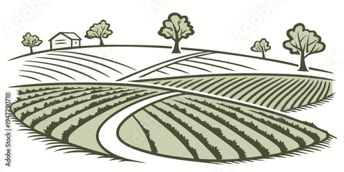 A green vineyard with trees on a hill Vector