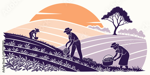 Farmers working in a field at sunset Vector