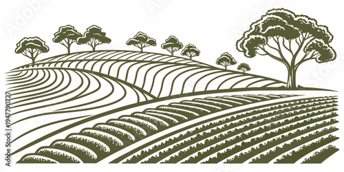 A green illustration of a vineyard with rows of crops and trees Vector