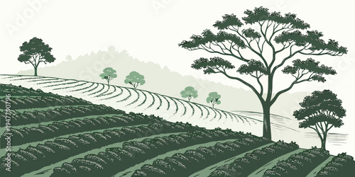 A green hillside with trees and vineyards Vector