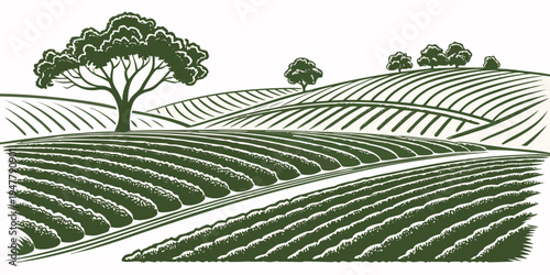 A green illustration of a vineyard with rows of crops and trees Vector