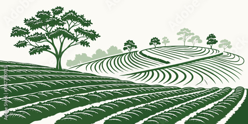 A green landscape with a tree and rows of crops Vector