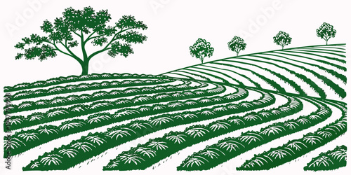 A green field with trees on a hill Vector